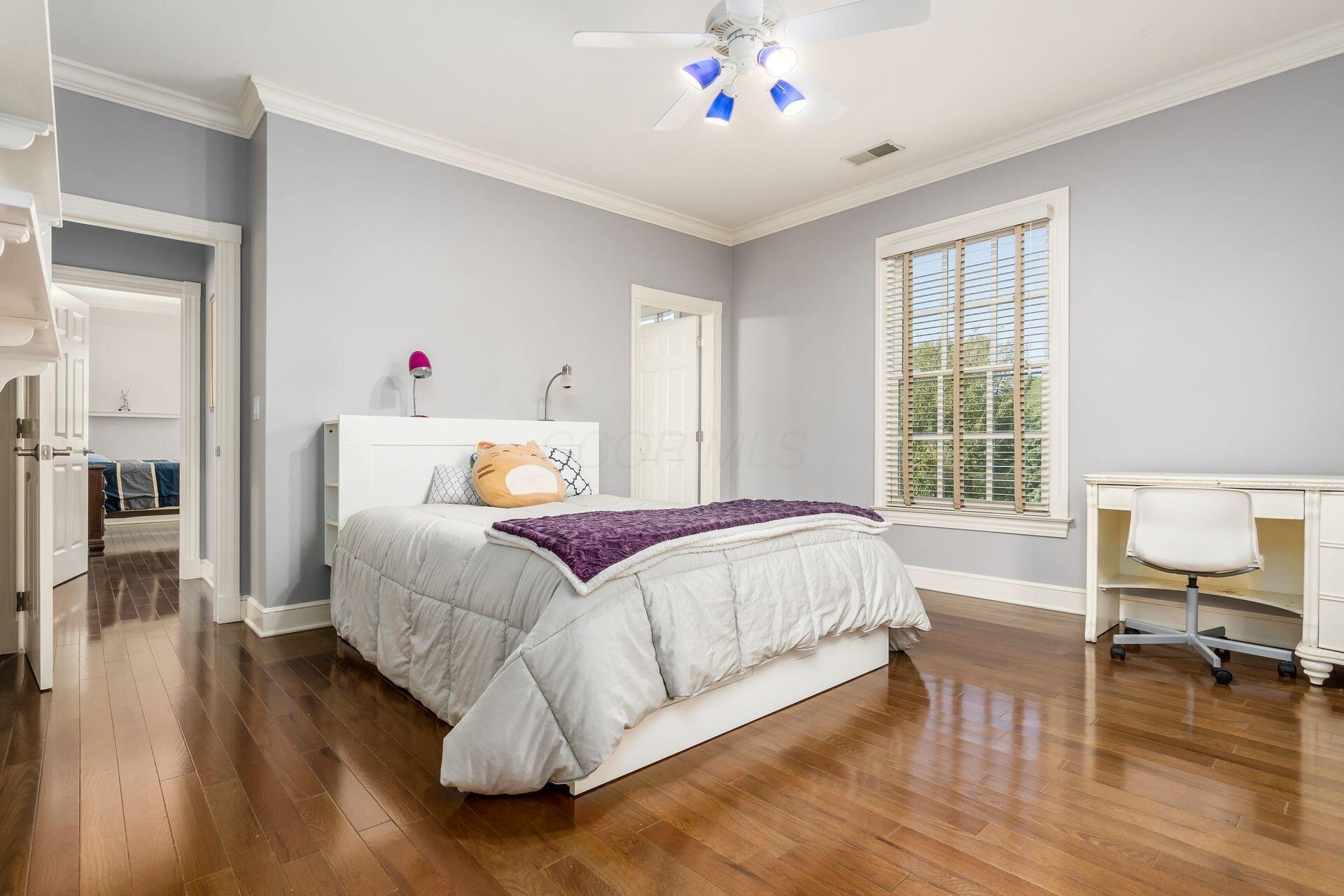 New Albany, Ohio, 43054, United States, 5 Bedrooms Bedrooms, ,6 BathroomsBathrooms,Residential,Active,1944097