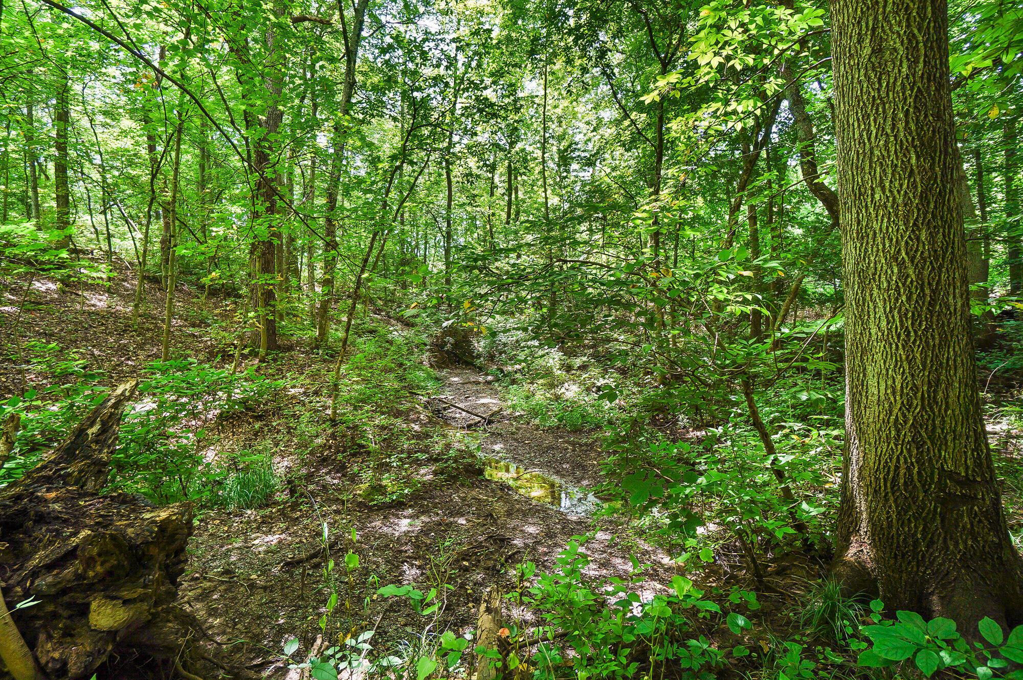 Powell, Ohio, 43065, United States, 5 Bedrooms Bedrooms, ,5 BathroomsBathrooms,Residential,Active,1871632