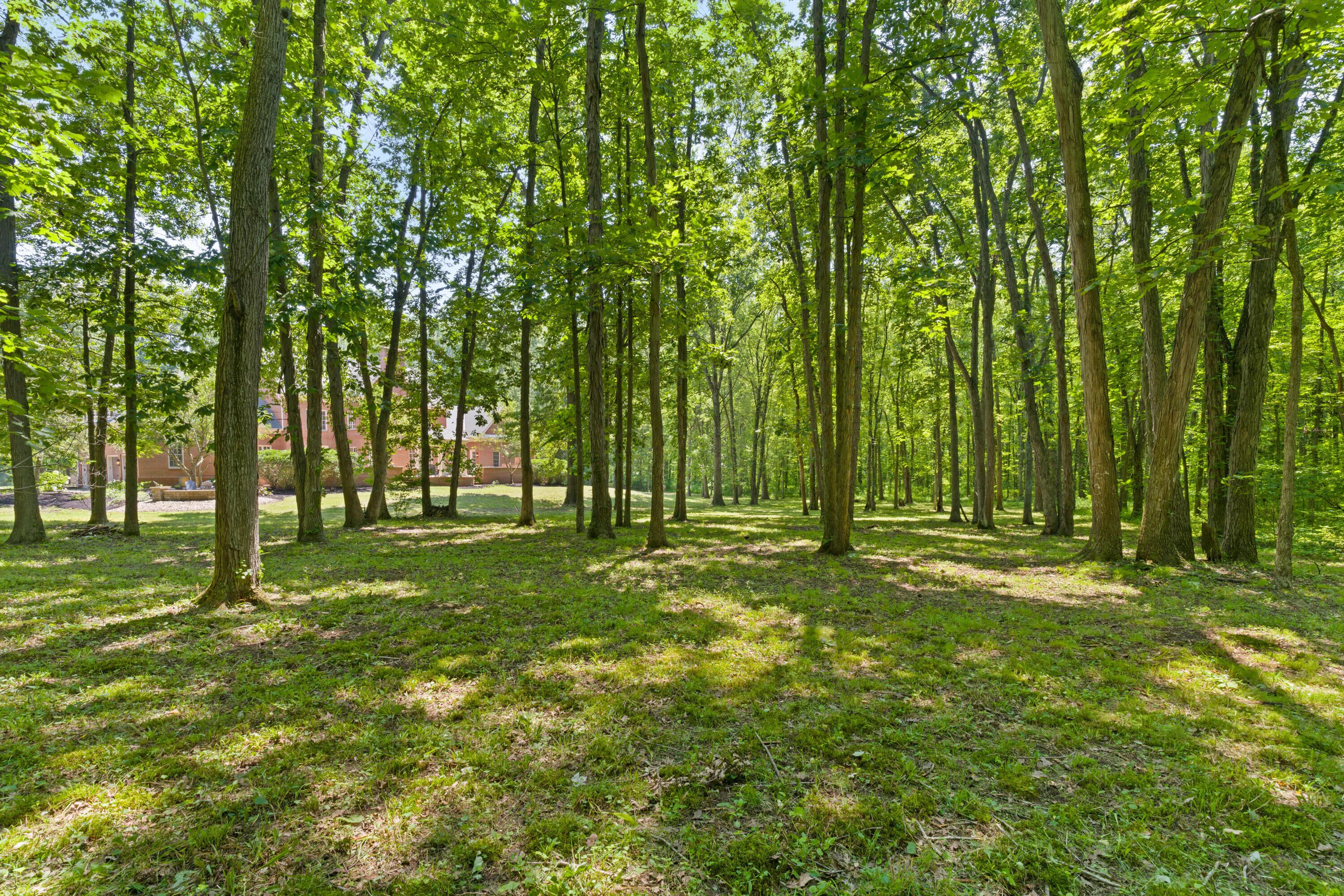 Sunbury, Ohio, 43074, United States, 5 Bedrooms Bedrooms, ,7 BathroomsBathrooms,Residential,Active,1912834