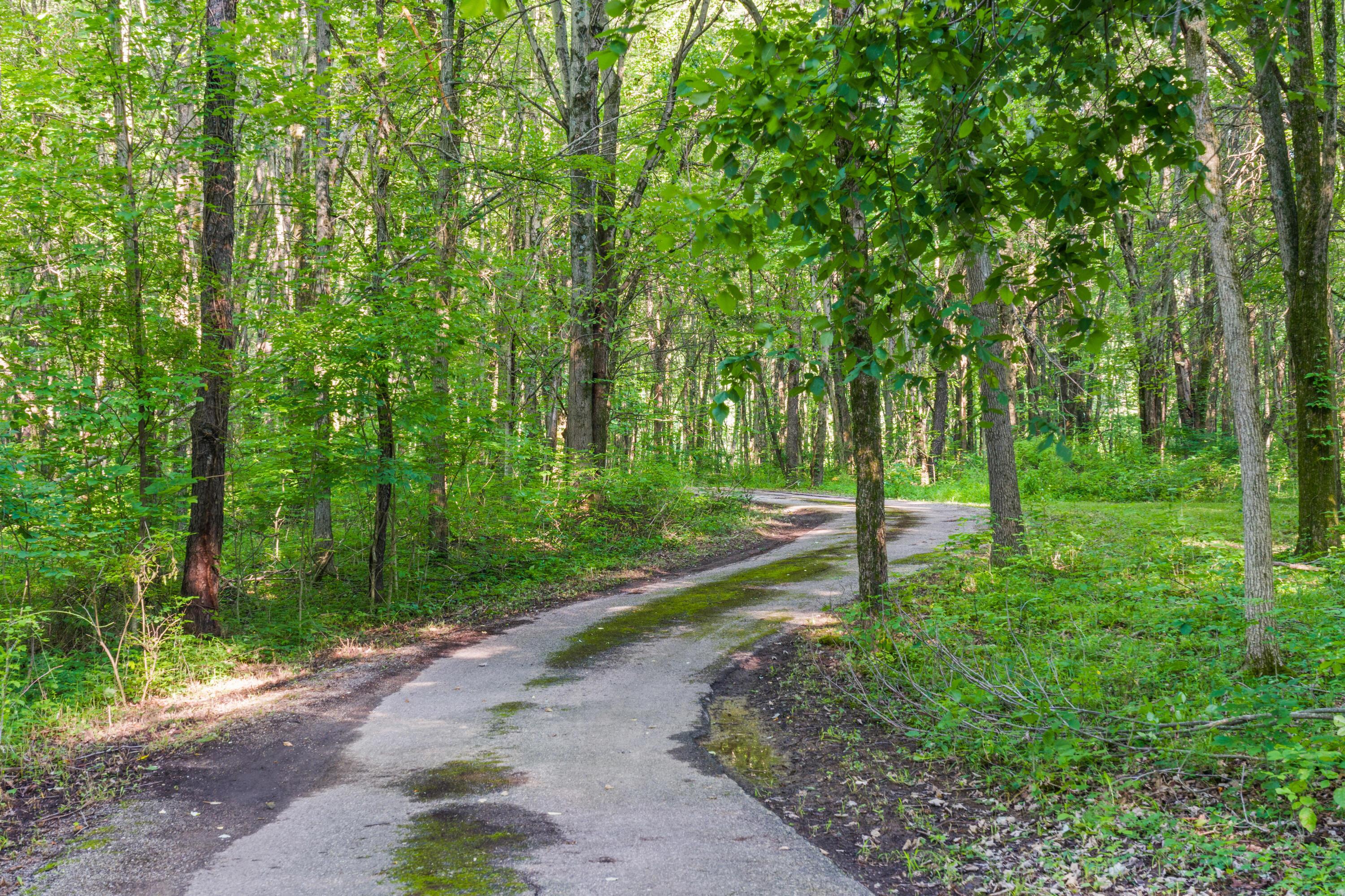 Sunbury, Ohio, 43074, United States, 5 Bedrooms Bedrooms, ,7 BathroomsBathrooms,Residential,Active,1912834