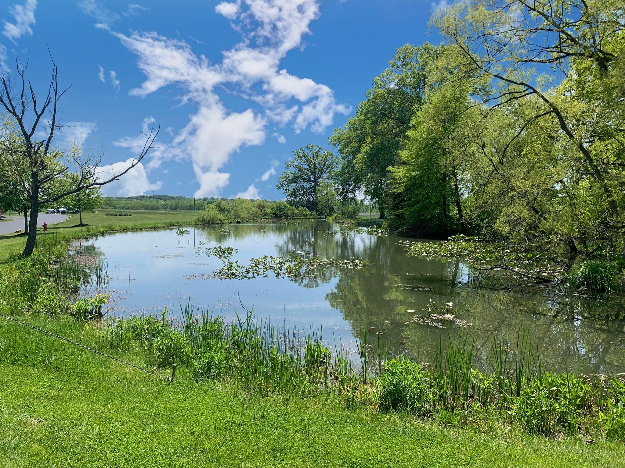 Thornville, Ohio, 43076, United States, 9 Bedrooms Bedrooms, ,7 BathroomsBathrooms,Residential,Active,1821951