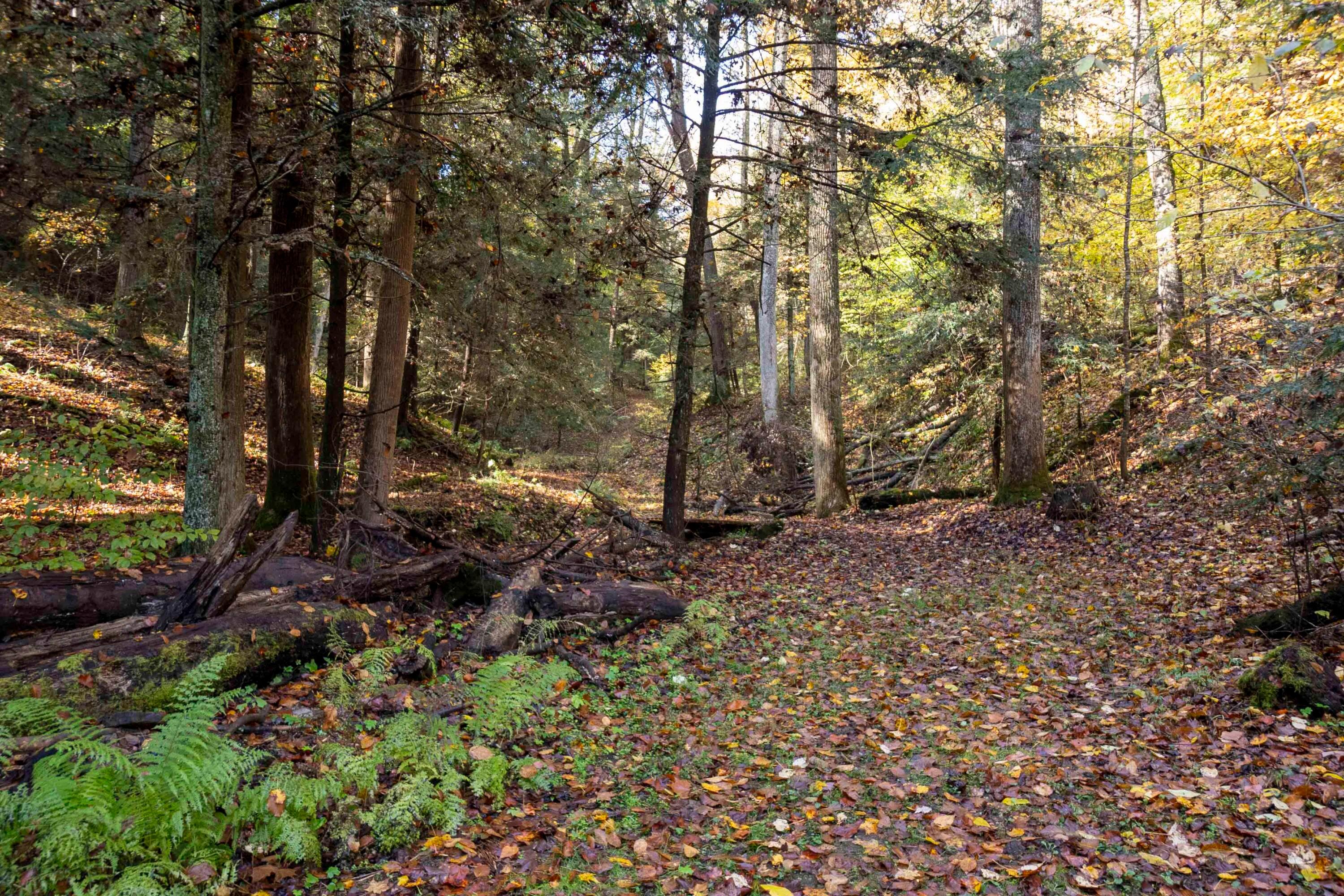 Rockbridge, Ohio, 43149, United States, 3 Bedrooms Bedrooms, ,4 BathroomsBathrooms,Residential,Active,1992551