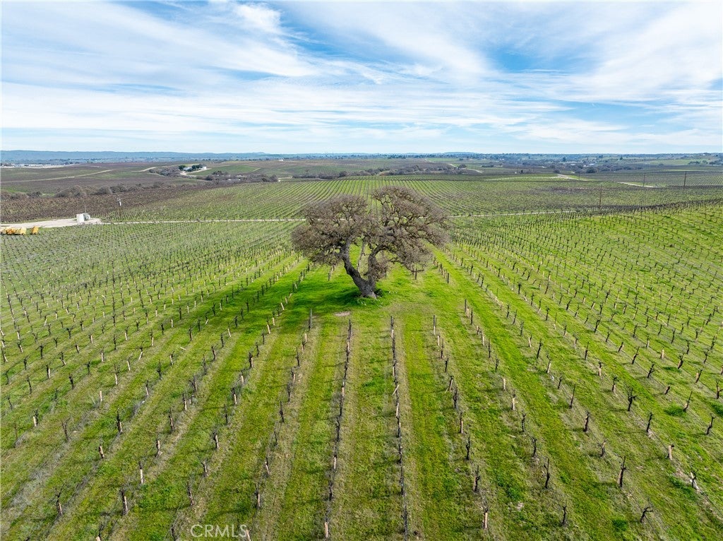 Paso Robles, California, 93446, United States, 7 Bedrooms Bedrooms, ,5 BathroomsBathrooms,Residential,Active,2012901