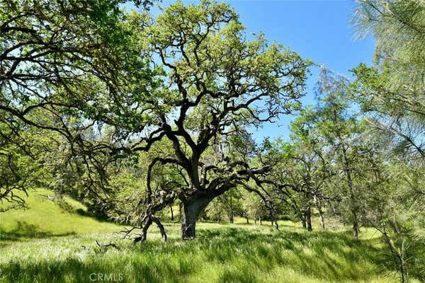 74825 TURKEY LN, BRADLEY, CA 93426 - Image 1