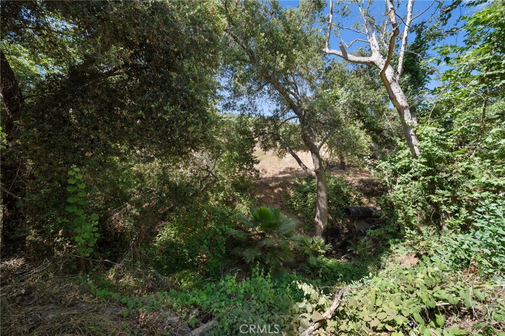 Fallbrook, California, 92028, United States, 3 Bedrooms Bedrooms, ,2 BathroomsBathrooms,Residential,Active,1820329