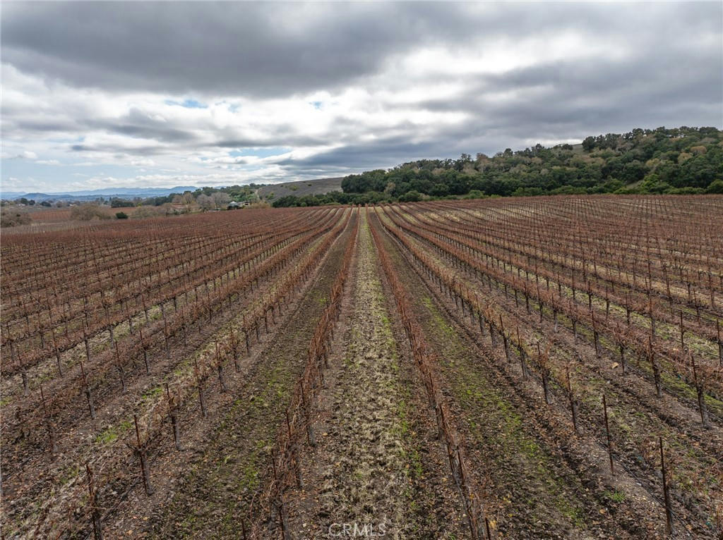 Paso Robles, California, 93446, United States, ,6 BathroomsBathrooms,Residential,Active,1769488