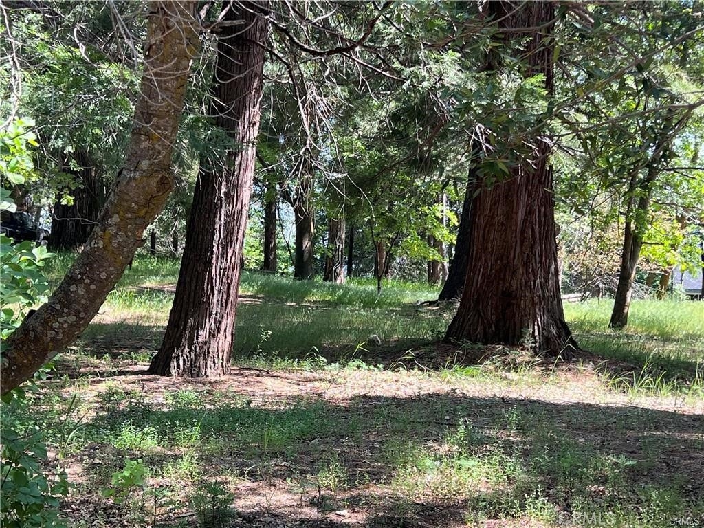 Skyforest, California, 92385, United States, 3 Bedrooms Bedrooms, ,3 BathroomsBathrooms,Residential,Active,1908150