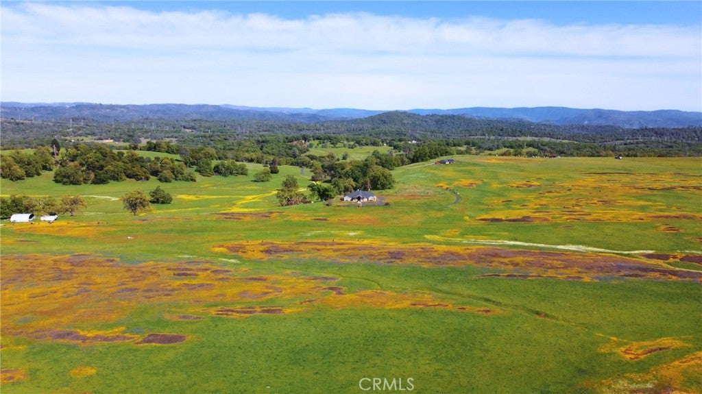 Oroville, California, 95965, United States, ,5 BathroomsBathrooms,Residential,Active,1702211