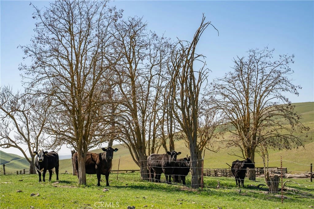 Shandon, California, 93461, United States, ,2 BathroomsBathrooms,Residential,Active,1769482