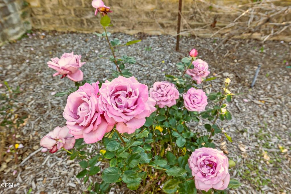 Camarillo, California, 93010, United States, 4 Bedrooms Bedrooms, ,2 BathroomsBathrooms,Residential,Active,2011874