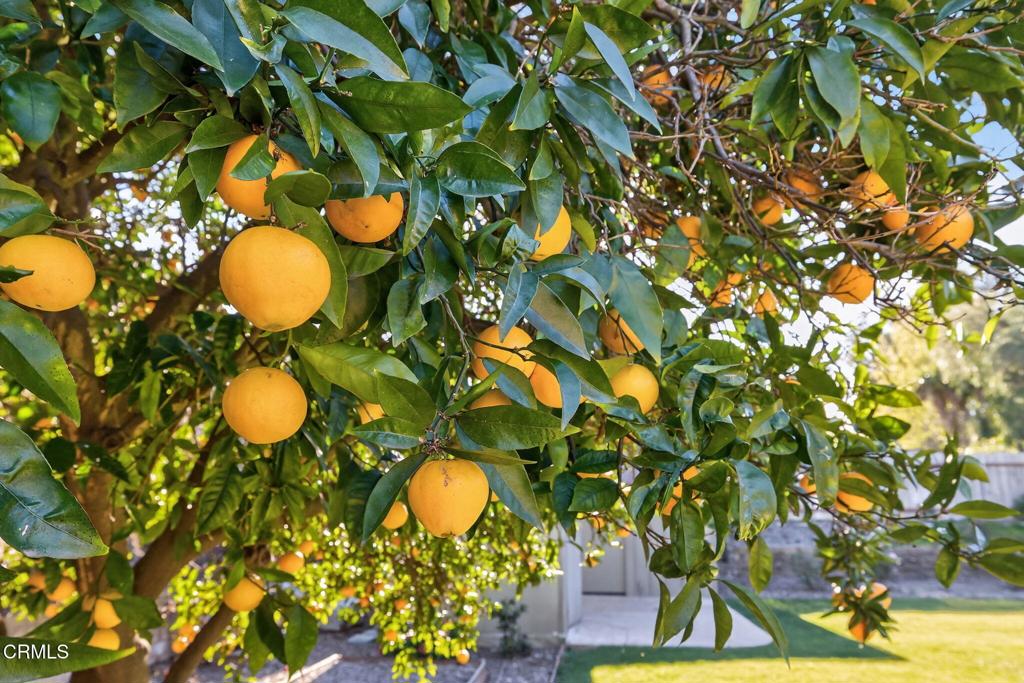 Camarillo, California, 93010, United States, 4 Bedrooms Bedrooms, ,2 BathroomsBathrooms,Residential,Active,2011874