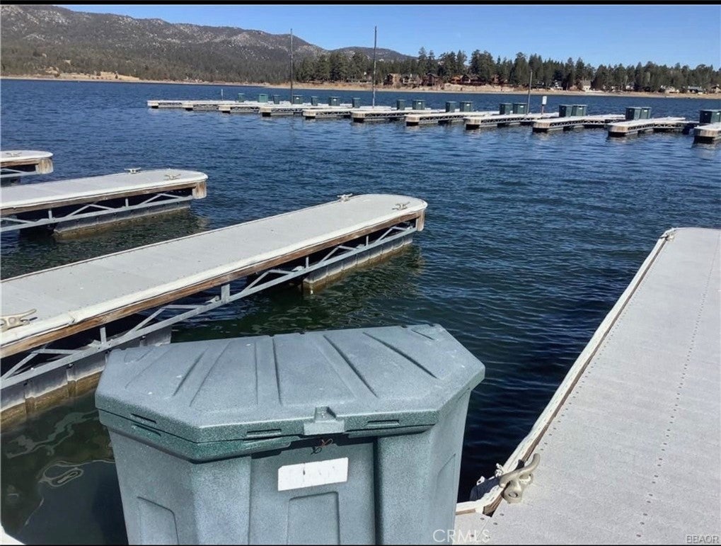 Big Bear Lake, California, 92315, United States, ,Residential,Active,1702561