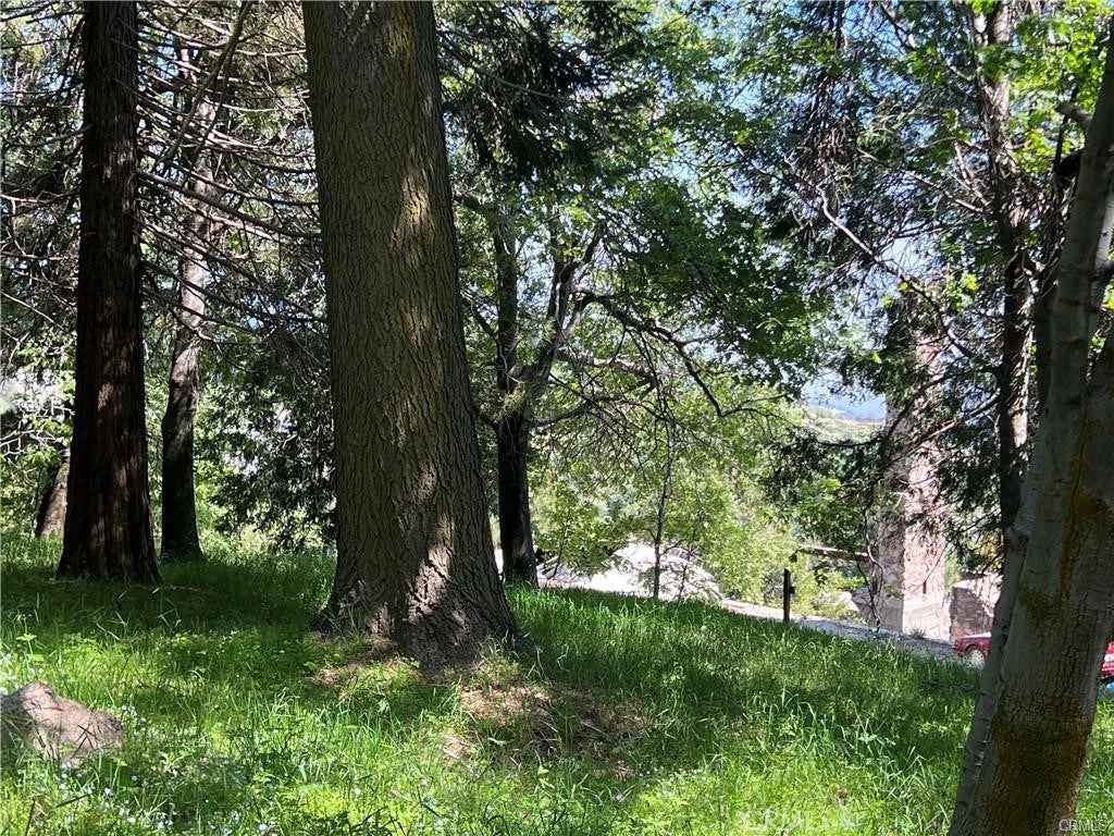 Skyforest, California, 92385, United States, 3 Bedrooms Bedrooms, ,3 BathroomsBathrooms,Residential,Active,1908150