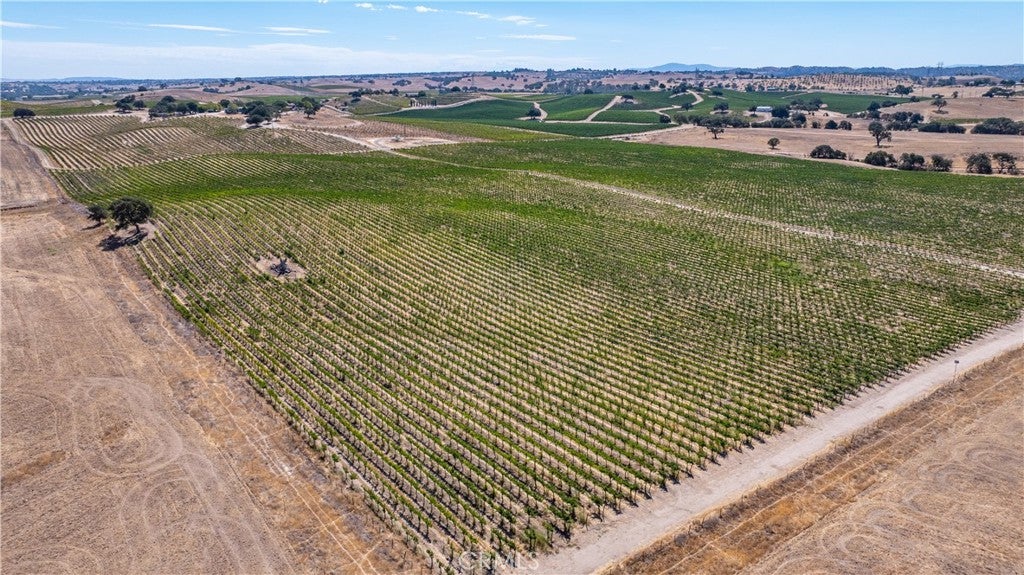 Paso Robles, California, 93446, United States, 4 Bedrooms Bedrooms, ,3 BathroomsBathrooms,Residential,Active,1944280