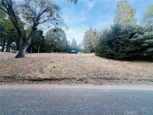 0 MOJAVE RIVER ROAD, CEDARPINES PARK, CA 92322 - Image 1