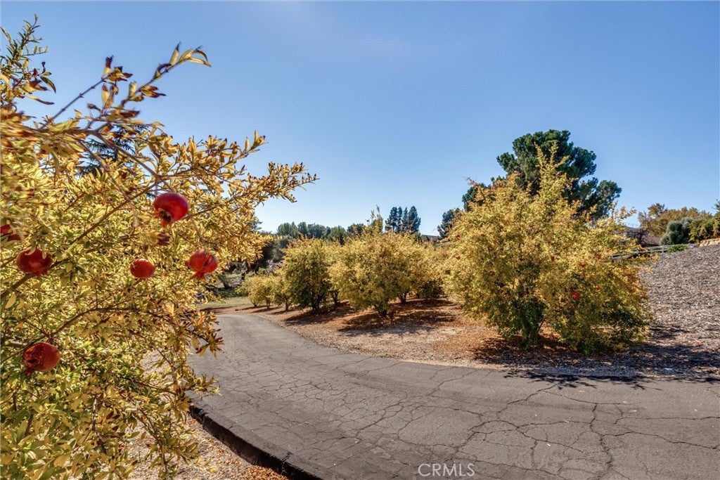 Paso Robles, California, 93446, United States, 4 Bedrooms Bedrooms, ,3 BathroomsBathrooms,Residential,Active,1973344