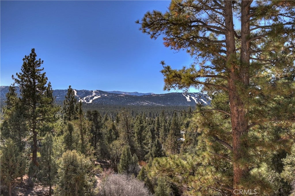 Big Bear City, California, 92314, United States, 7 Bedrooms Bedrooms, ,6 BathroomsBathrooms,Residential,Active,1998760