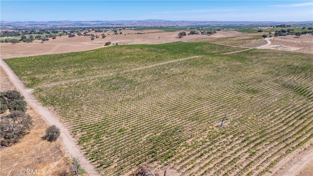 Paso Robles, California, 93446, United States, 4 Bedrooms Bedrooms, ,3 BathroomsBathrooms,Residential,Active,1944280