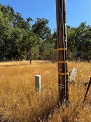 5718 E WHITLOCK RD, MARIPOSA, CA 95338, photo 3 of 16