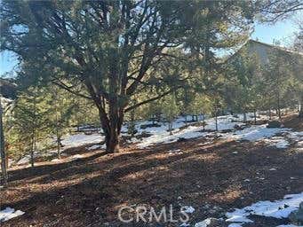 1604 LINDEN DR, PINE MOUNTAIN CLUB, CA 93222 - Image 1