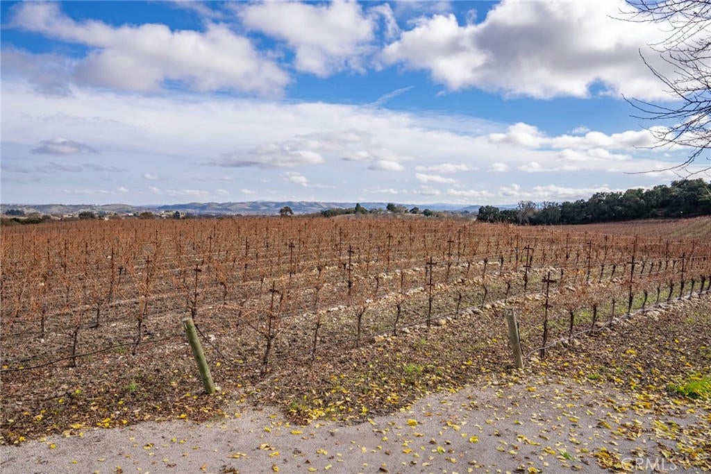 Paso Robles, California, 93446, United States, ,6 BathroomsBathrooms,Residential,Active,1769488