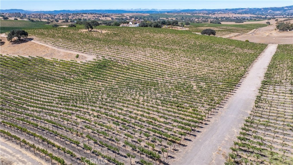 Paso Robles, California, 93446, United States, 4 Bedrooms Bedrooms, ,3 BathroomsBathrooms,Residential,Active,1944280