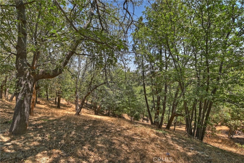 Lake Arrowhead, California, 92352, United States, 4 Bedrooms Bedrooms, ,5 BathroomsBathrooms,Residential,Active,1897983