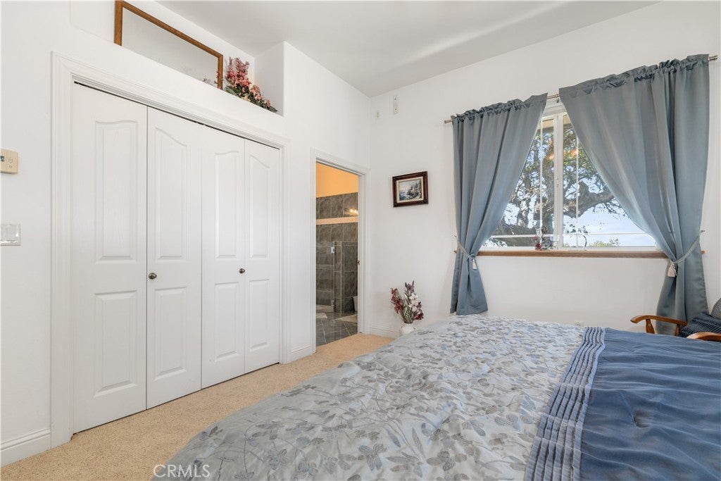 Paso Robles, California, 93446, United States, 7 Bedrooms Bedrooms, ,6 BathroomsBathrooms,Residential,Active,1919055