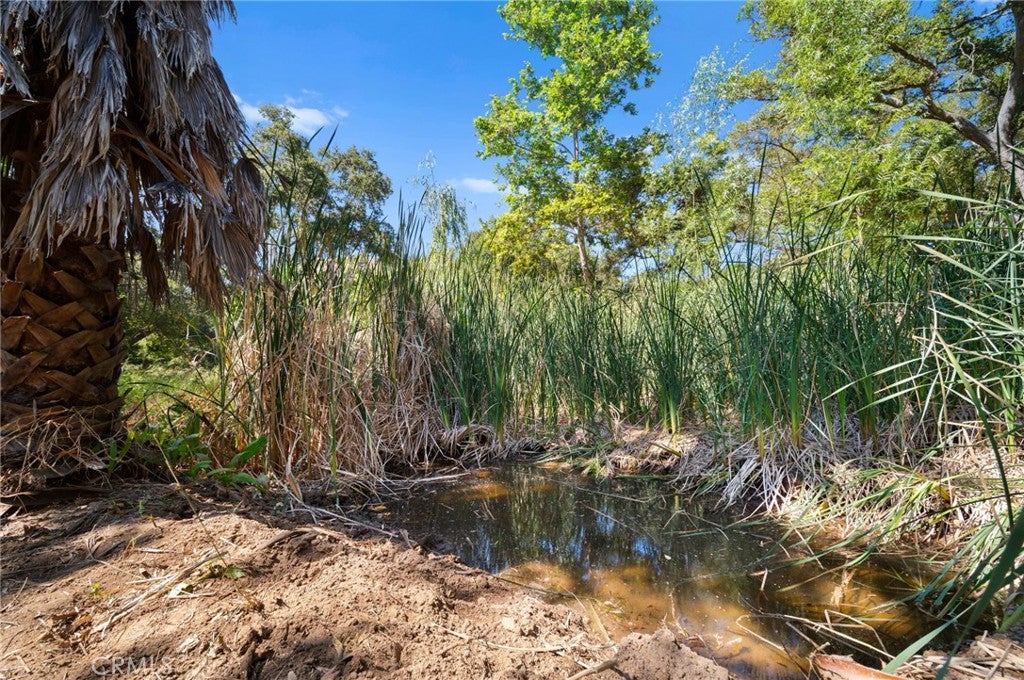 Fallbrook, California, 92028, United States, 3 Bedrooms Bedrooms, ,2 BathroomsBathrooms,Residential,Active,1820329