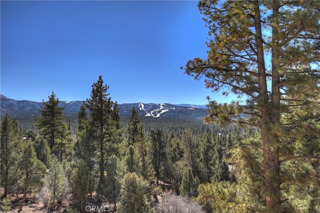 Big Bear City, California, 92314, United States, 7 Bedrooms Bedrooms, ,6 BathroomsBathrooms,Residential,Active,1998760