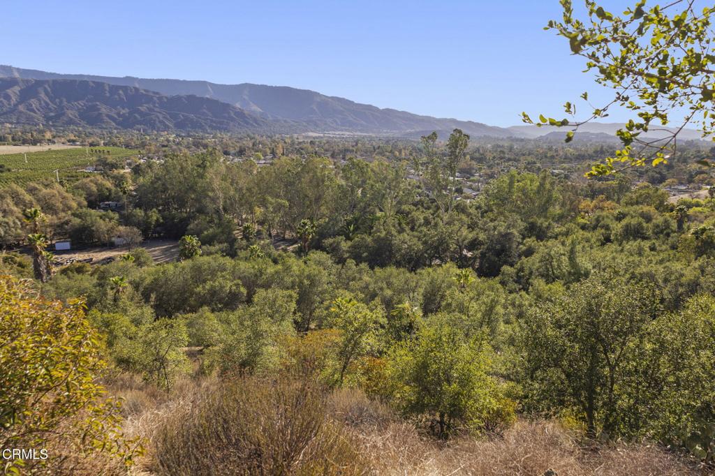 Ojai, California, 93023, United States, ,3 BathroomsBathrooms,Residential,Active,1769520