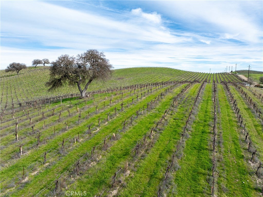 Paso Robles, California, 93446, United States, 7 Bedrooms Bedrooms, ,5 BathroomsBathrooms,Residential,Active,2012901