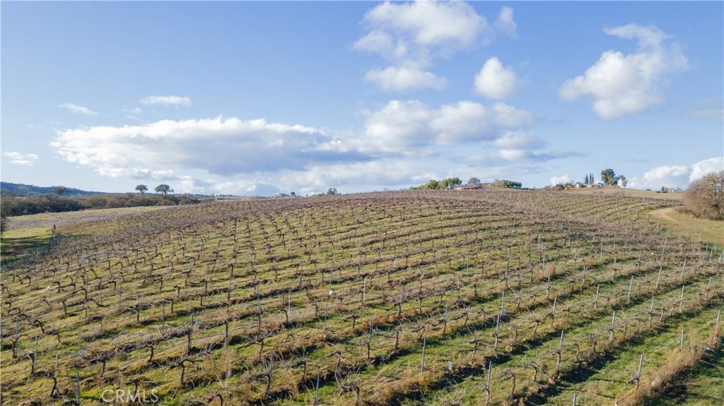 Paso Robles, California, 93446, United States, 5 Bedrooms Bedrooms, ,6 BathroomsBathrooms,Residential,Active,1821961