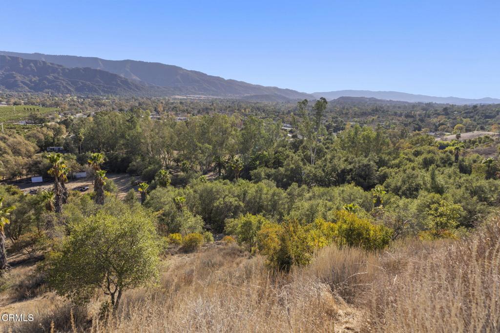 Ojai, California, 93023, United States, ,3 BathroomsBathrooms,Residential,Active,1769520