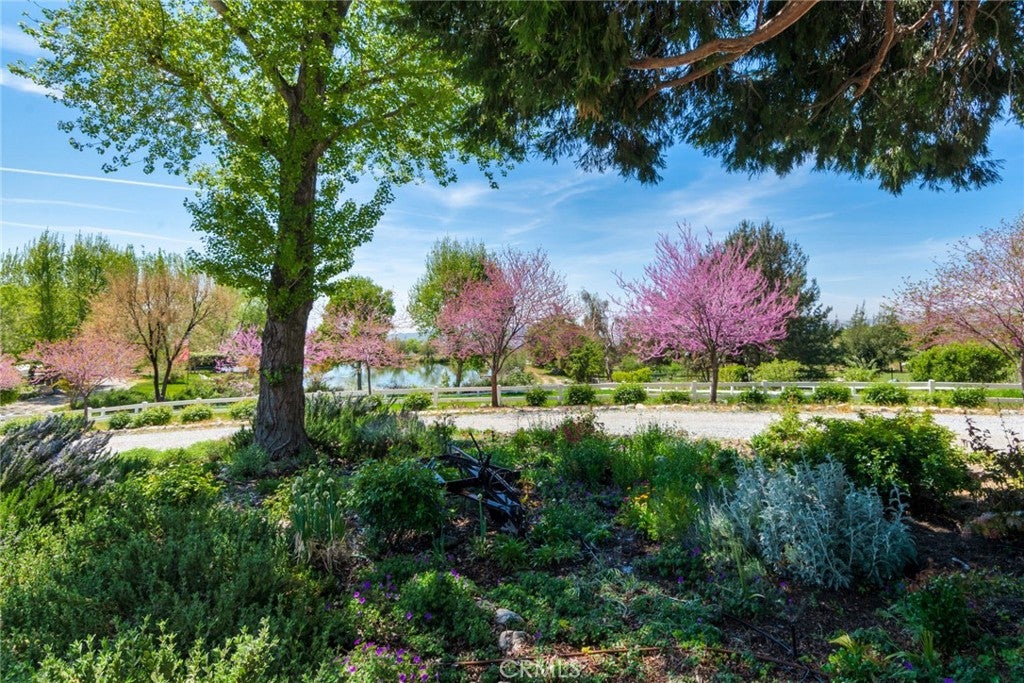 Oak Glen, California, 92399, United States, ,3 BathroomsBathrooms,Residential,Pending,1782592