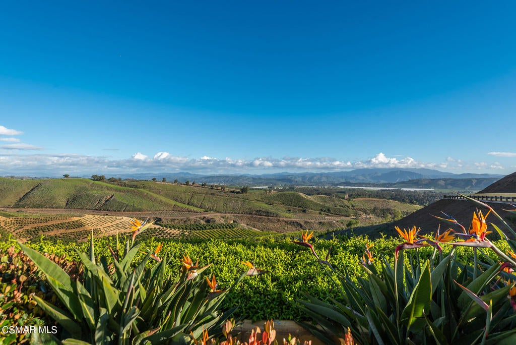 Somis, California, 93066, United States, ,8 BathroomsBathrooms,Residential,Active,1769794