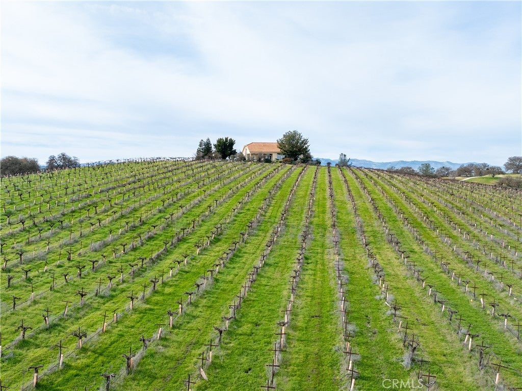 Paso Robles, California, 93446, United States, 7 Bedrooms Bedrooms, ,5 BathroomsBathrooms,Residential,Active,2012901