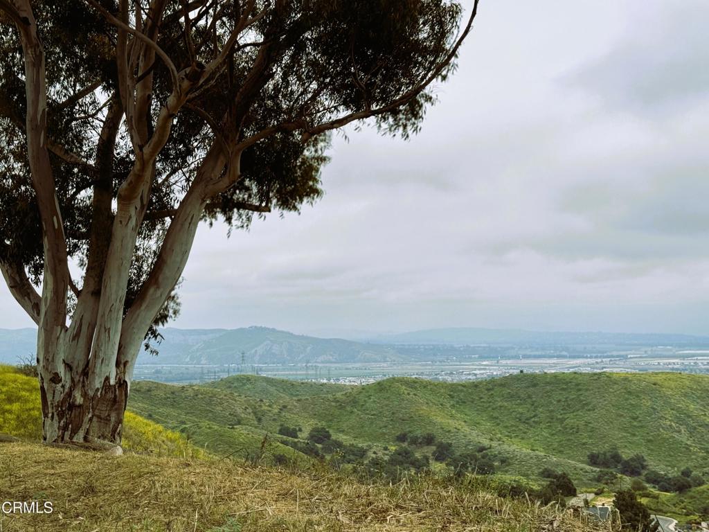 Ventura, California, 93003, United States, 4 Bedrooms Bedrooms, ,3 BathroomsBathrooms,Residential,Active,1990033