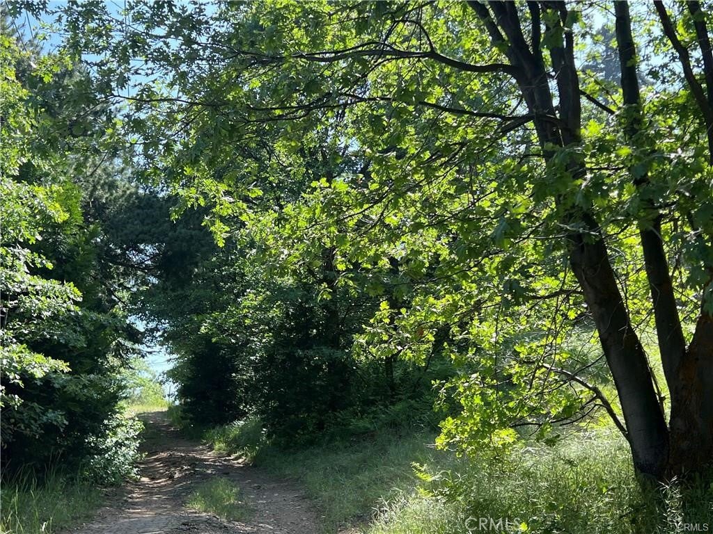 Skyforest, California, 92385, United States, 3 Bedrooms Bedrooms, ,3 BathroomsBathrooms,Residential,Active,1908150