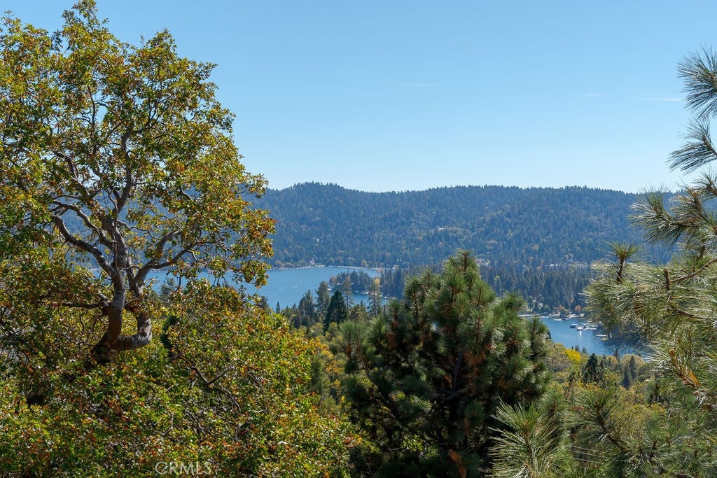 Lake Arrowhead, California, 92352, United States, 3 Bedrooms Bedrooms, ,3 BathroomsBathrooms,Residential,Active,1952988
