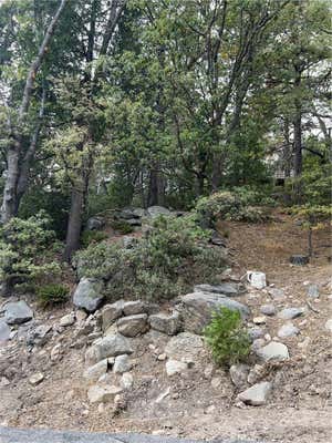 26272 THUNDERBIRD DR, LAKE ARROWHEAD, CA 92352 - Image 1