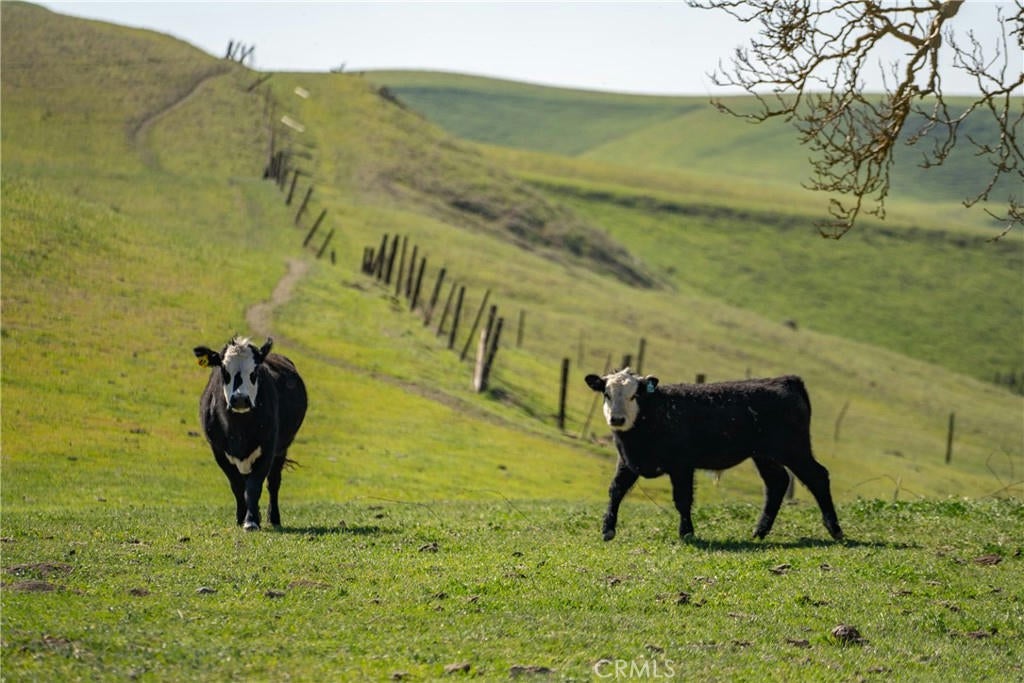 Shandon, California, 93461, United States, ,2 BathroomsBathrooms,Residential,Active,1769482