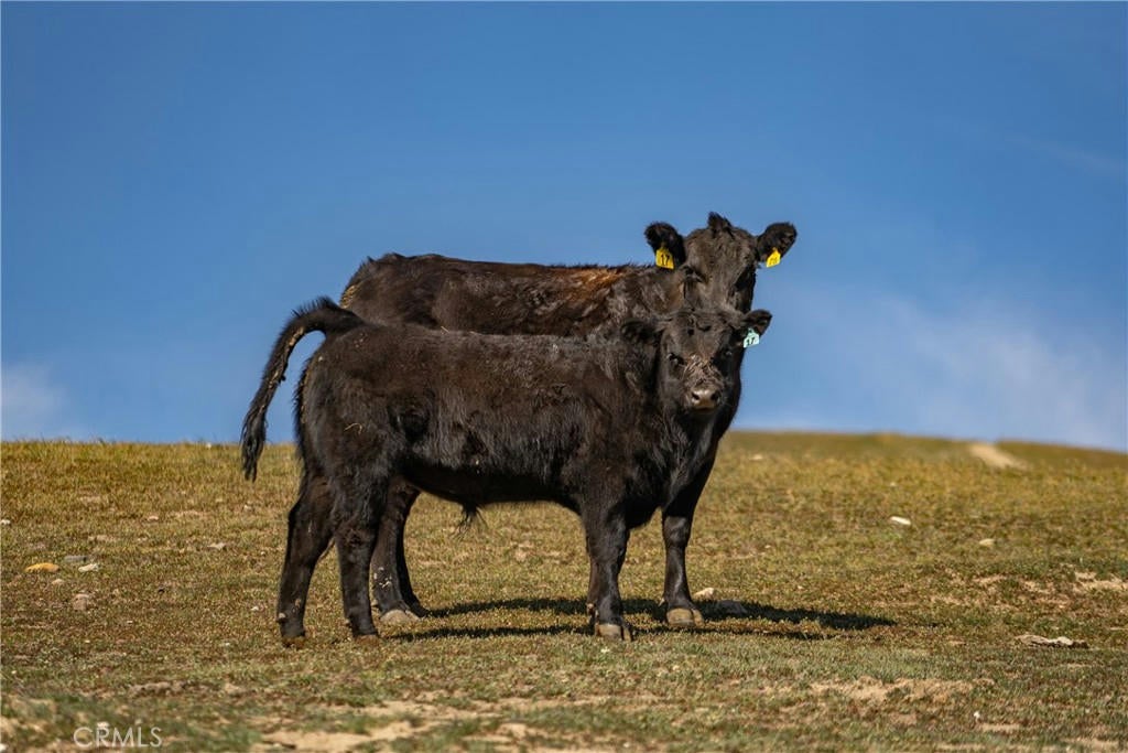 Shandon, California, 93461, United States, ,2 BathroomsBathrooms,Residential,Active,1769482