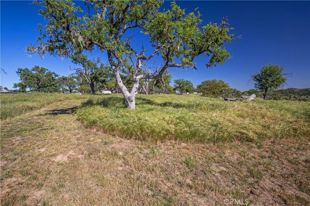 Paso Robles, California, 93446, United States, 2 Bedrooms Bedrooms, ,1 BathroomBathrooms,Residential,Active,1771479