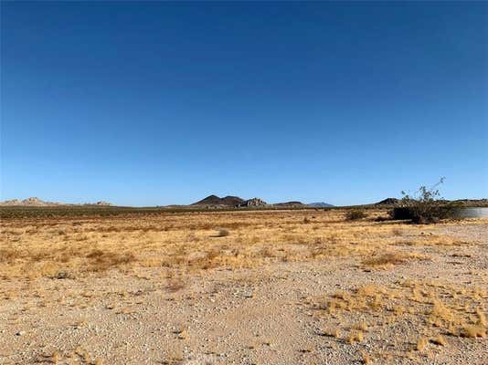 0 LOONEYVILLE, LUCERNE VALLEY, CA 92356 - Image 1