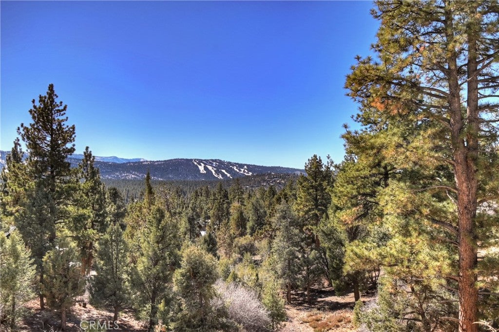 Big Bear City, California, 92314, United States, 7 Bedrooms Bedrooms, ,6 BathroomsBathrooms,Residential,Active,1998760