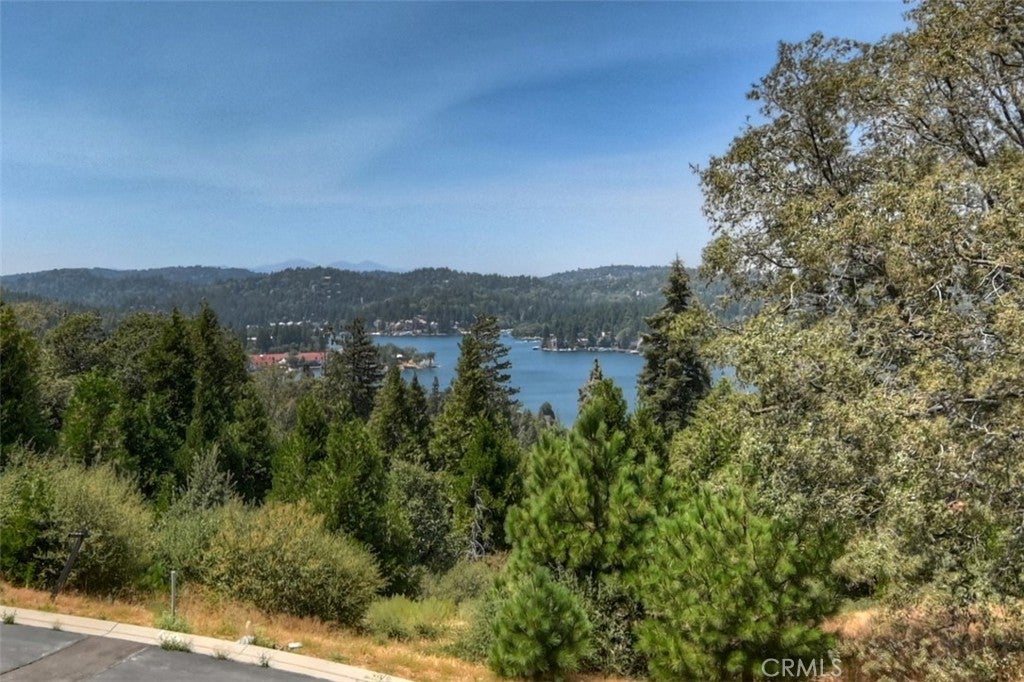 Lake Arrowhead, California, 92352, United States, 3 Bedrooms Bedrooms, ,3 BathroomsBathrooms,Residential,Active,1972160