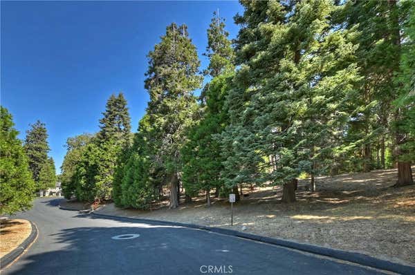 388 CEDAR RIDGE DR, LAKE ARROWHEAD, CA 92352 - Image 1