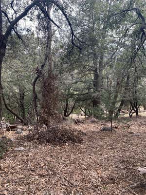 0 BURNT MILL CANYON ROAD, CEDARPINES PARK, CA 92322 - Image 1