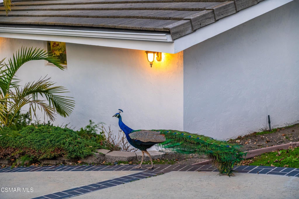 Rolling Hills Estates, California, 90274, United States, 5 Bedrooms Bedrooms, ,3 BathroomsBathrooms,Residential,Active,1944461